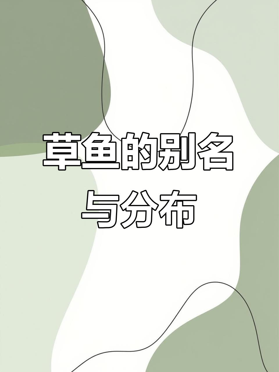 草鱼:广东人称它为皖鱼或浣鱼,户外养殖常见