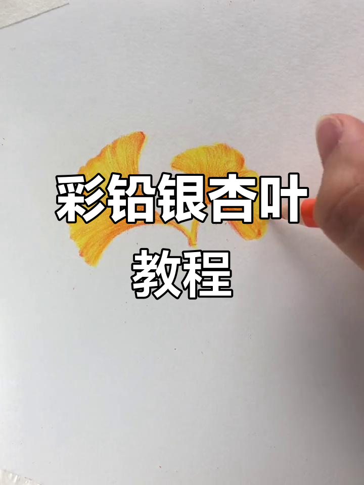 彩铅银杏叶画法,简单步骤教你画出栩栩如生的叶子