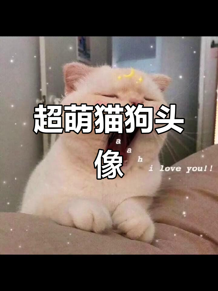 猫咪头像太可爱了,快换上一起跑吧!