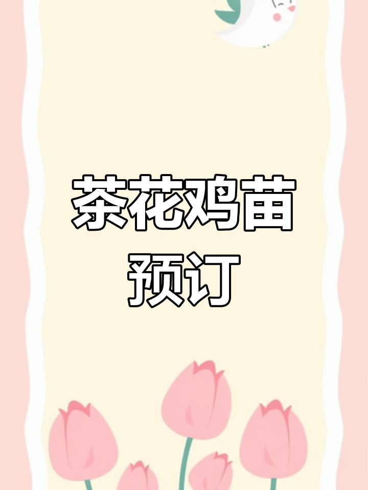 茶花鸡苗现货,可预定6月27日出笼,成年种鸡也有供应