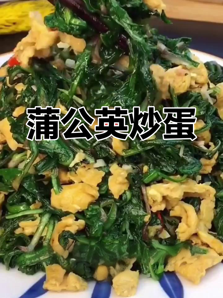 春天婆婆丁炒鸡蛋,清热去火又美味