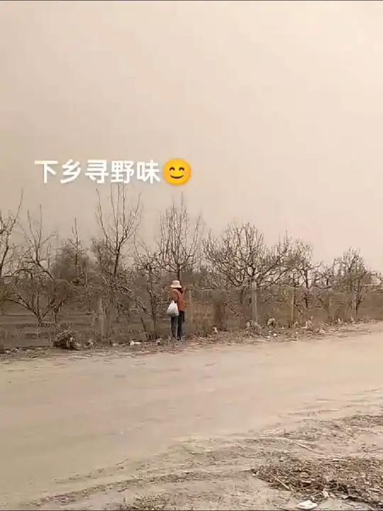 如何识别野菜?你家乡有这种类似荠菜的植物吗?