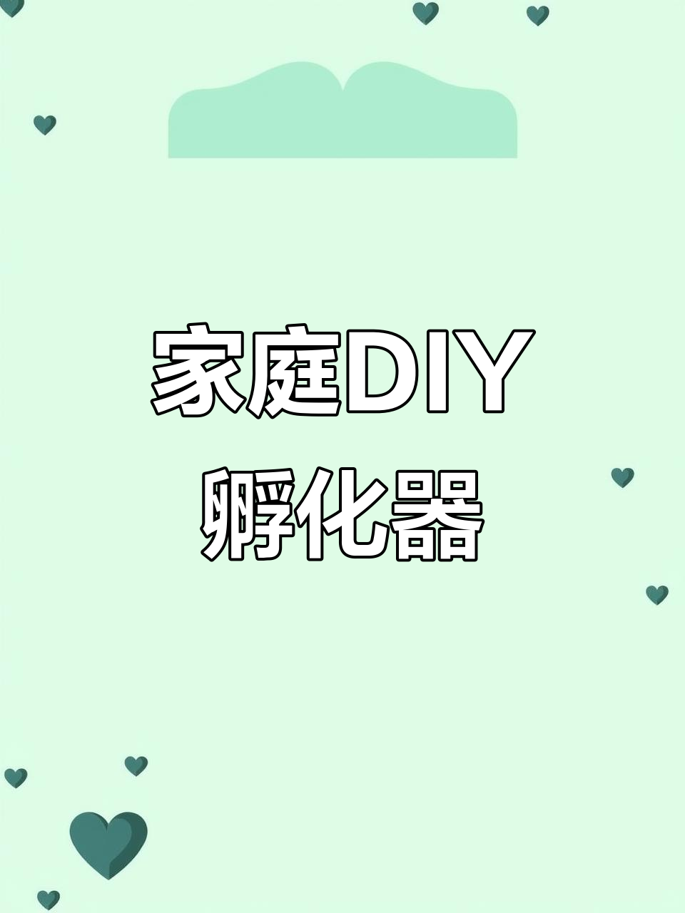 在家自制孵化器，轻松孵蛋提高出壳率