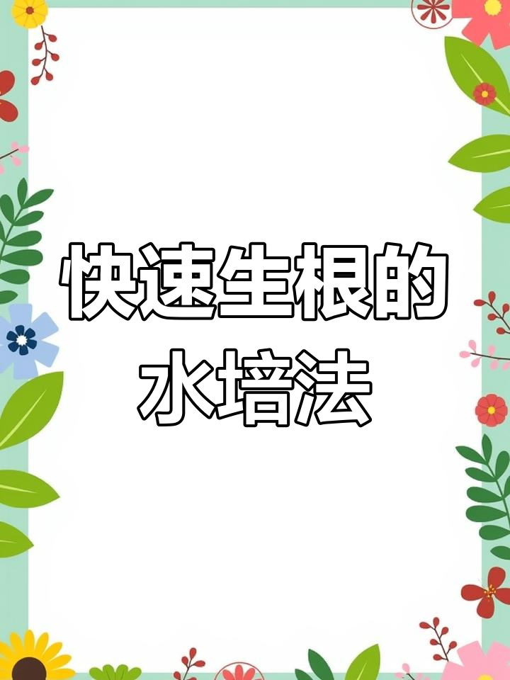 水培扦插鸭掌木,快速生根技巧大公开