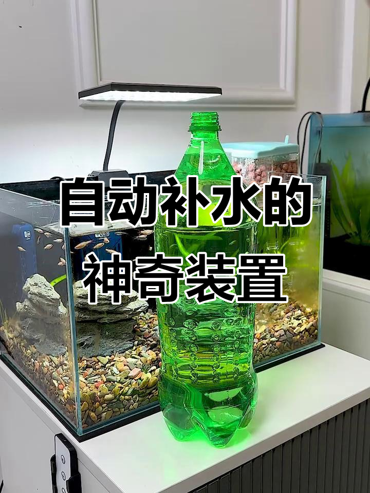 鱼缸自动补水器,让你出门无忧