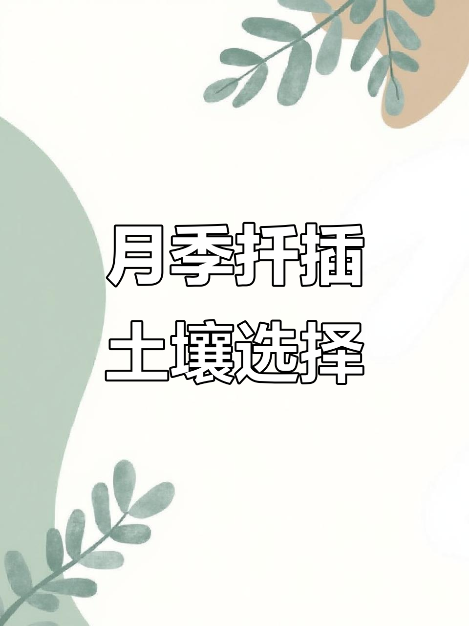 月季枝条扦插技巧:哪种土壤最容易成活?