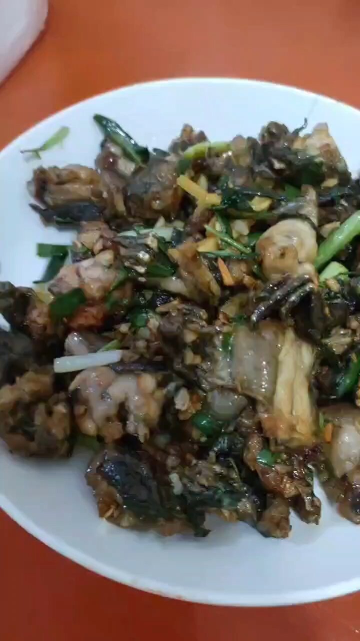 田鸡和牛蛙有什么区别