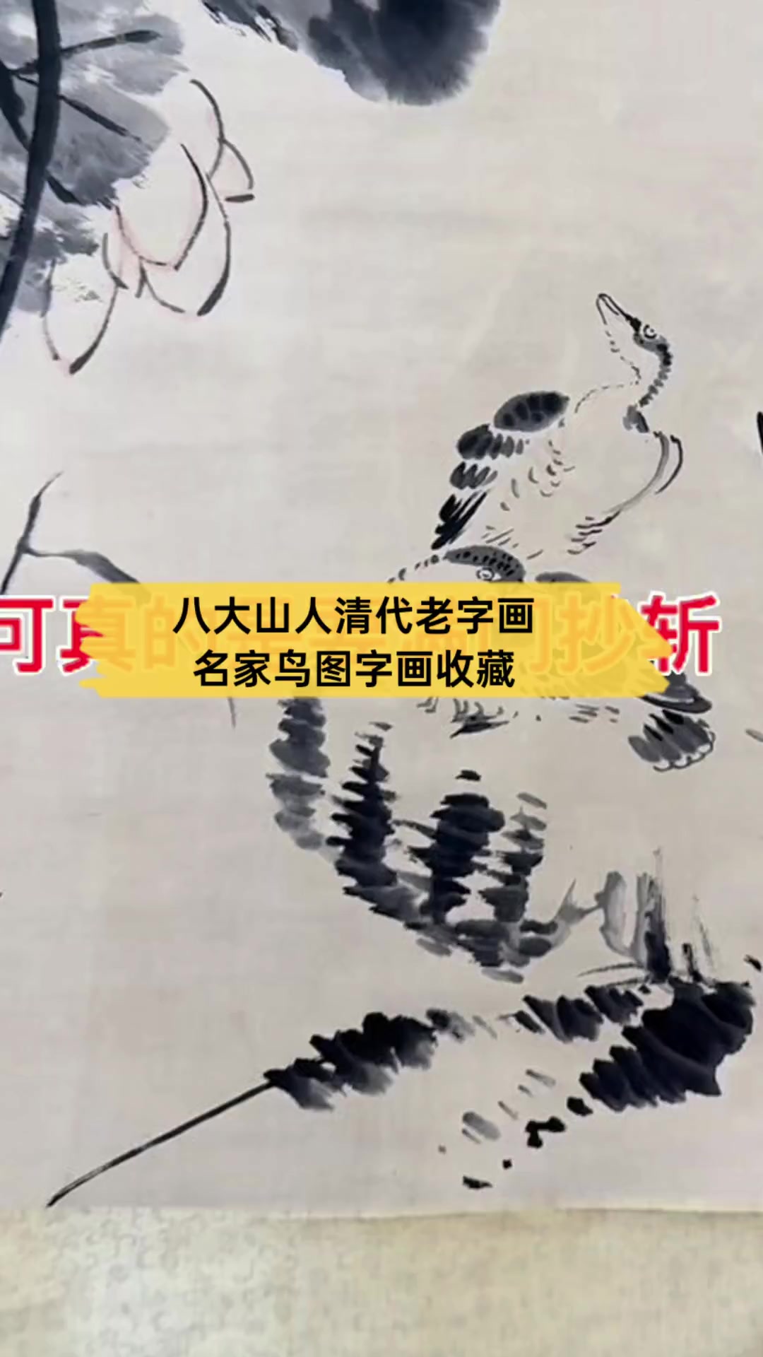 八大山人清代老字画,名家鸟图字画收藏