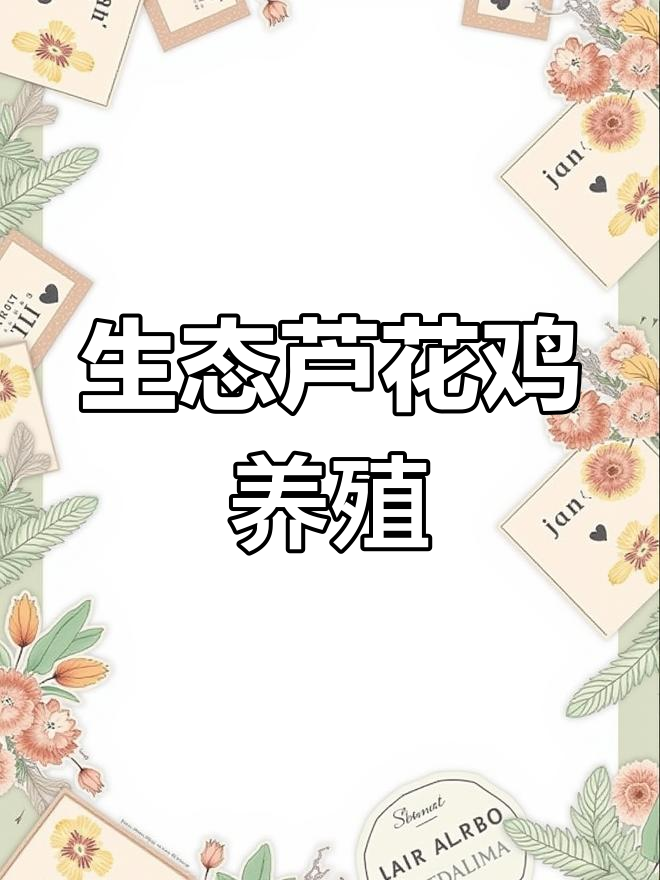 散养芦花鸡,公母搭配最佳比例,肉蛋双丰收