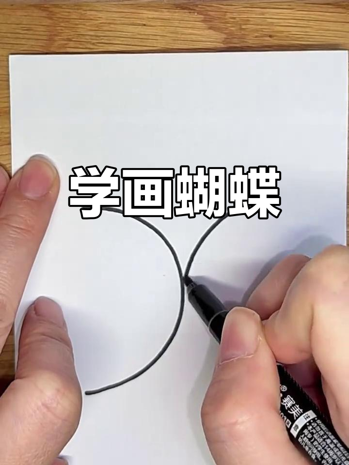 蝴蝶简笔画,轻松学会对称画法