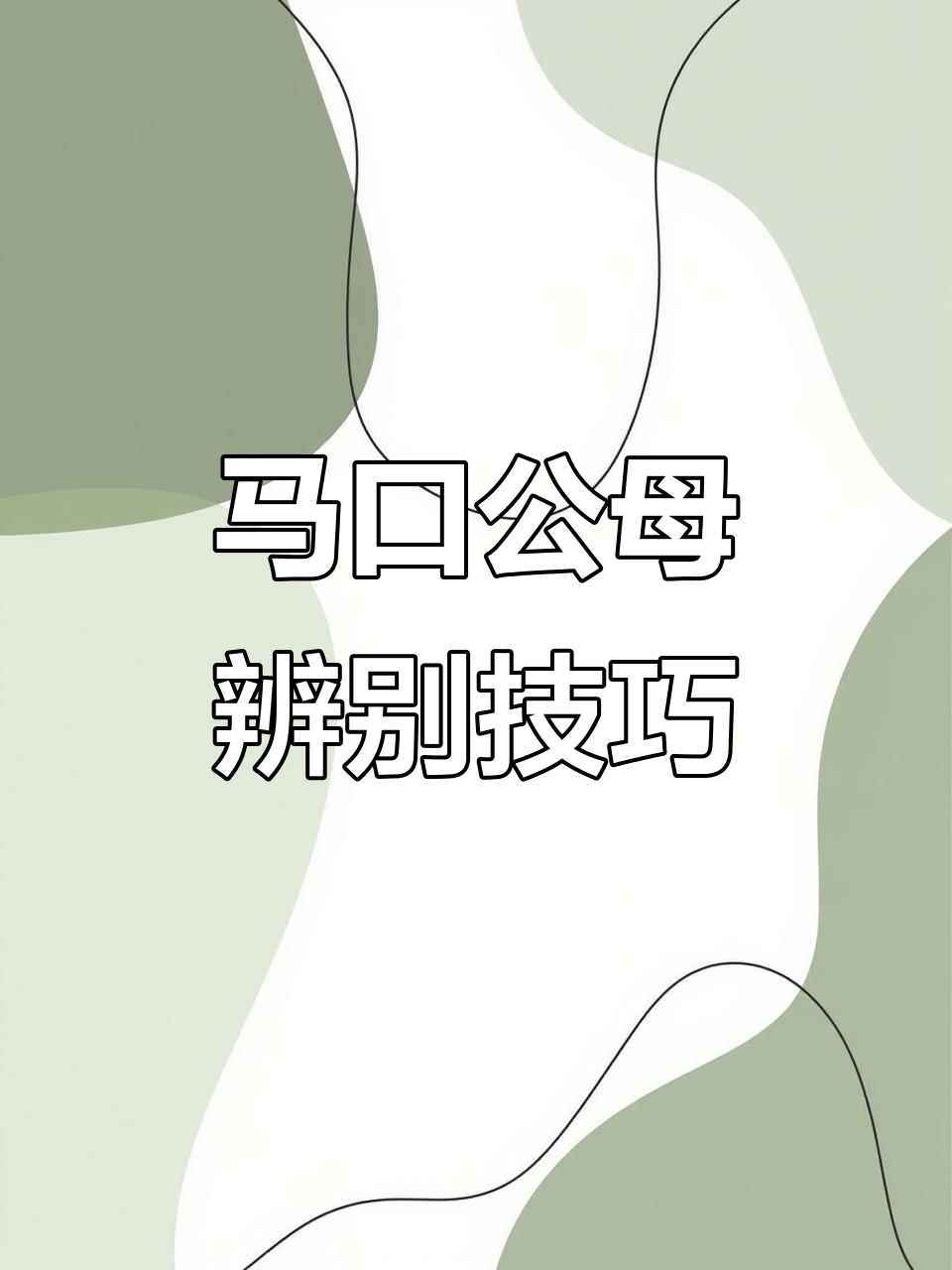 如何辨别马口公母?小鱼干带你轻松分辨