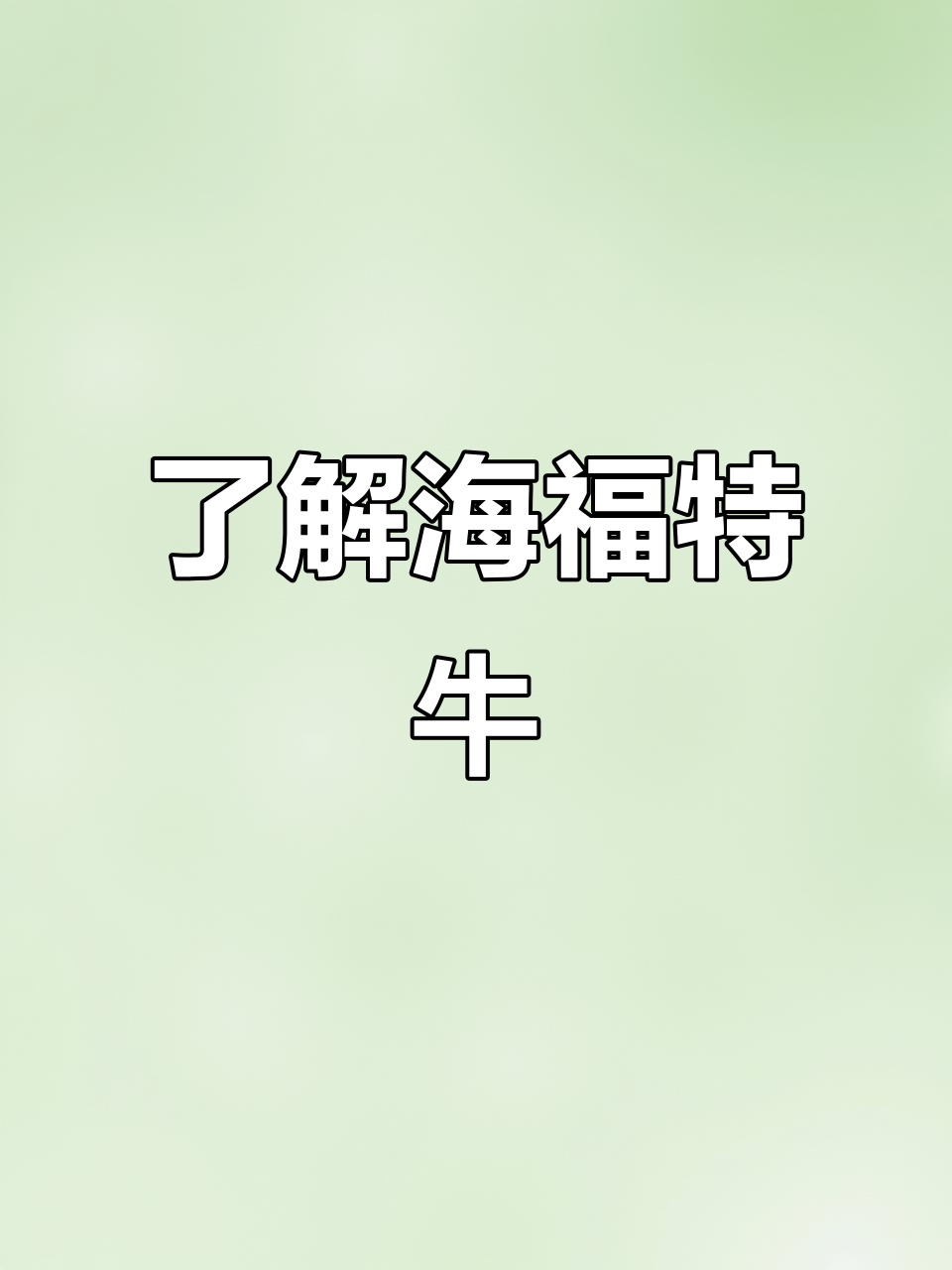海福特牛:早熟肉牛品种,耐寒耐热都能适应