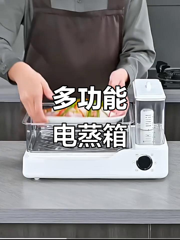 家用多功能电蒸箱,大容量预约炖煮,三层设计实用便捷