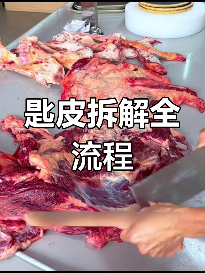 拆解匙皮全过程,揭秘牛肉火锅的独特技巧