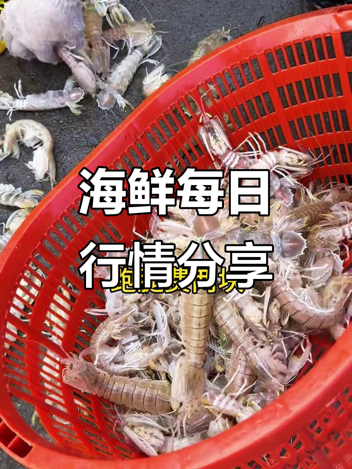 每天海鲜价格大揭秘,本地九节虾、黄花鱼等超值优惠