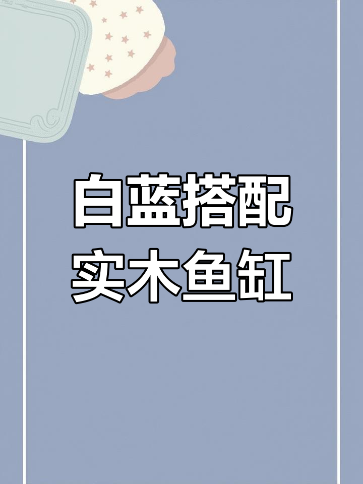 蓝色风生水起背景搭配白色格子底膜，实木鱼缸效果超赞