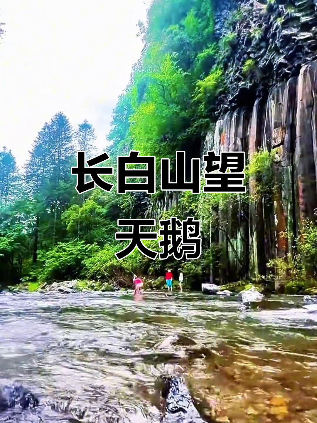 探秘十五道沟望天鹅,长白山自然风景区之旅