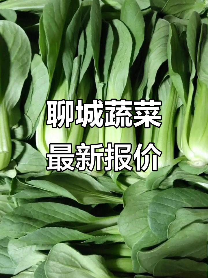 11月山东聊城蔬菜价格大揭秘,各类品种一应俱全