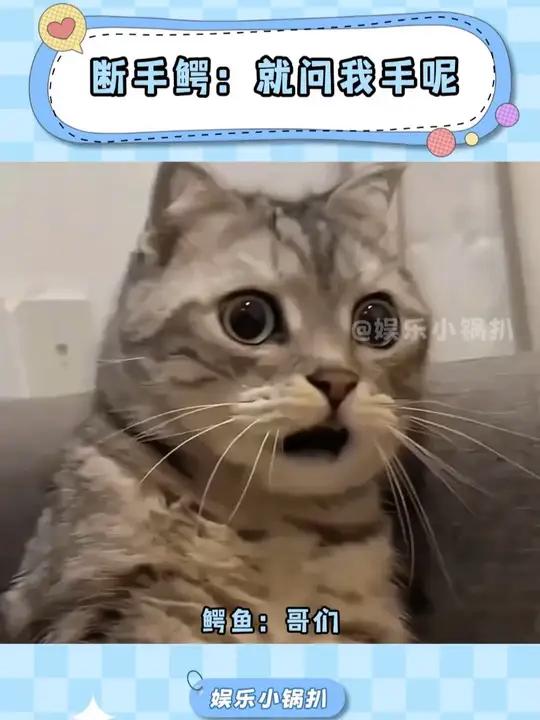 断手鳄:你虾啊!鳄鱼:不,我鳄鱼啊