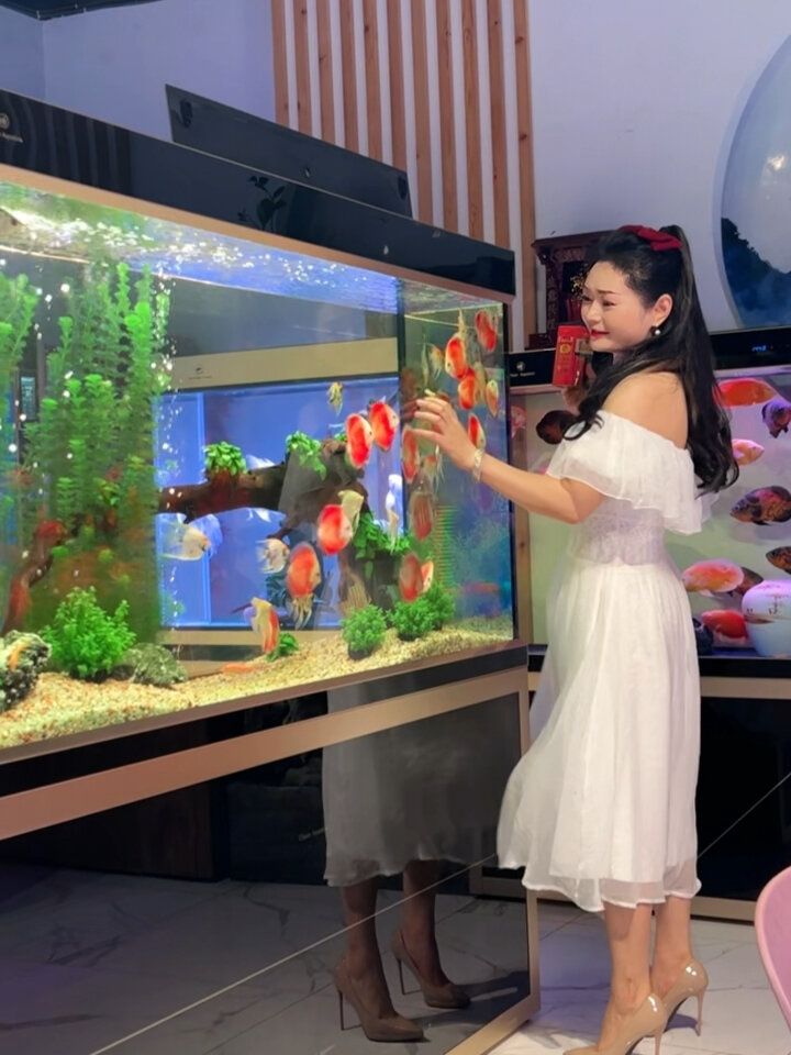 可丽爱鱼缸