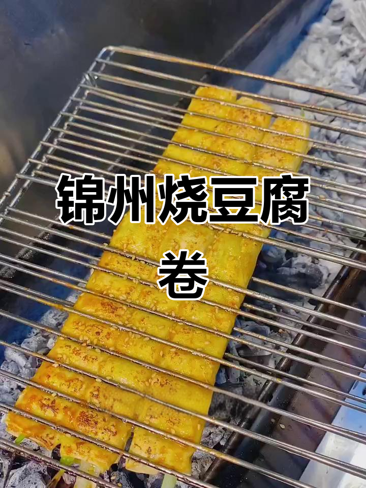锦州烧烤干豆腐卷，烤出独特风味！