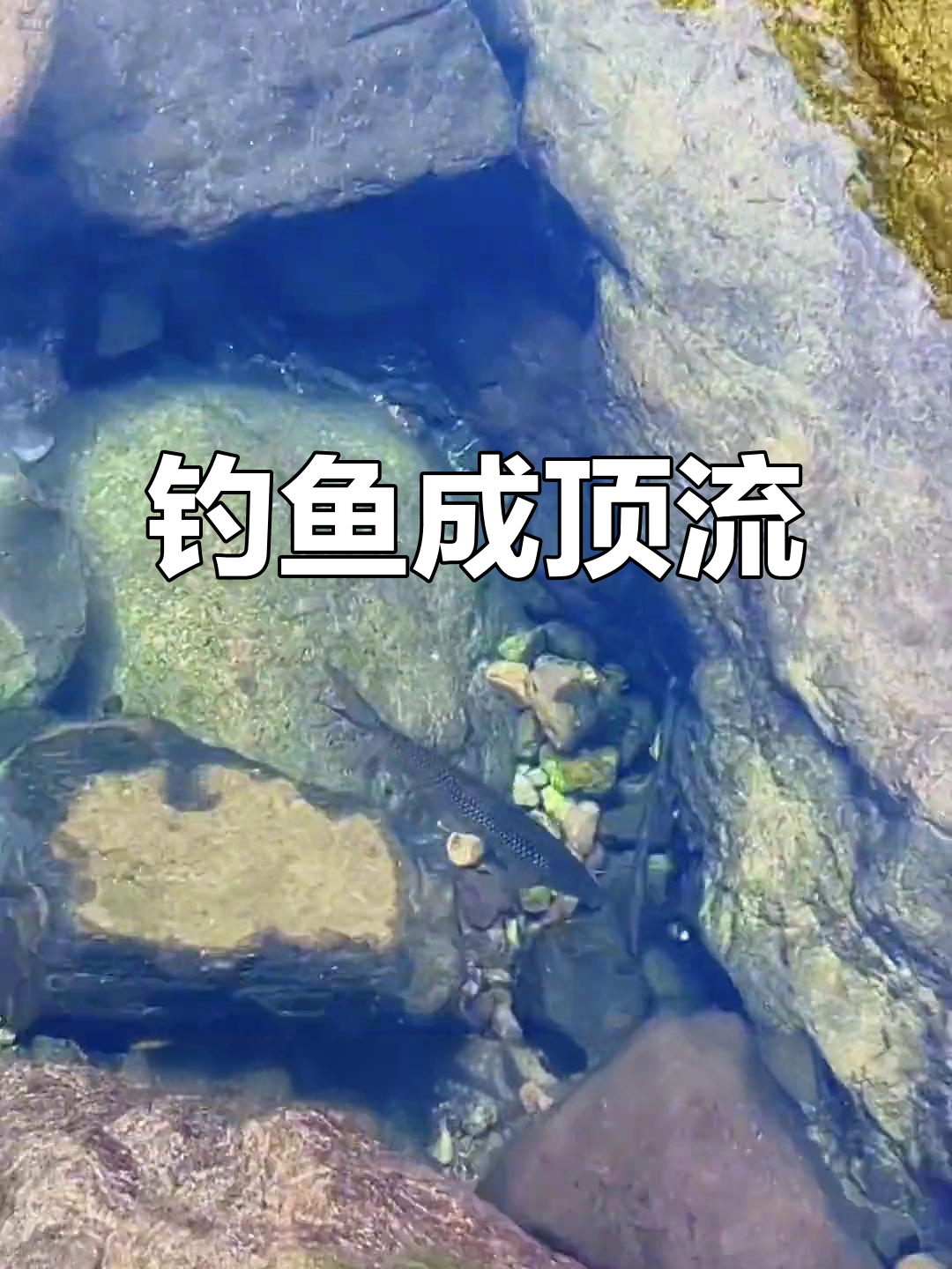 溪流钓苦花鱼,竟然成了抖音运动新风潮