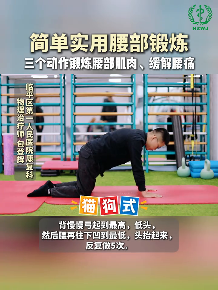 腰部疼痛?核心力量差?可以试试这三个动作锻炼!