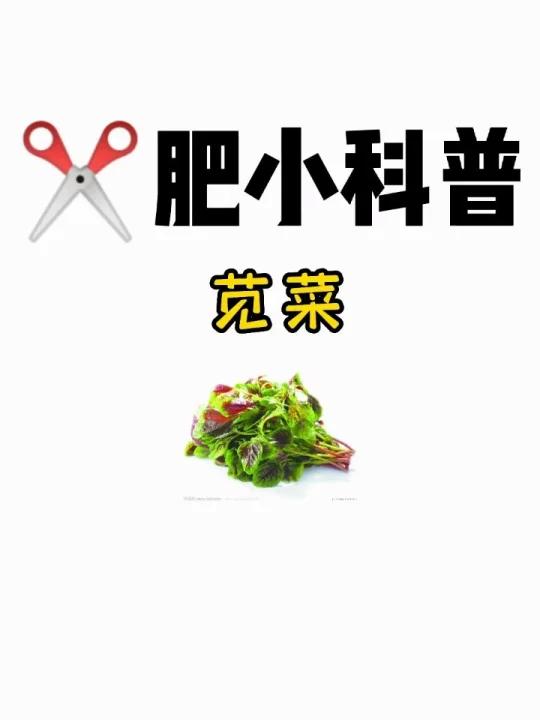 肥小科普「苋菜」