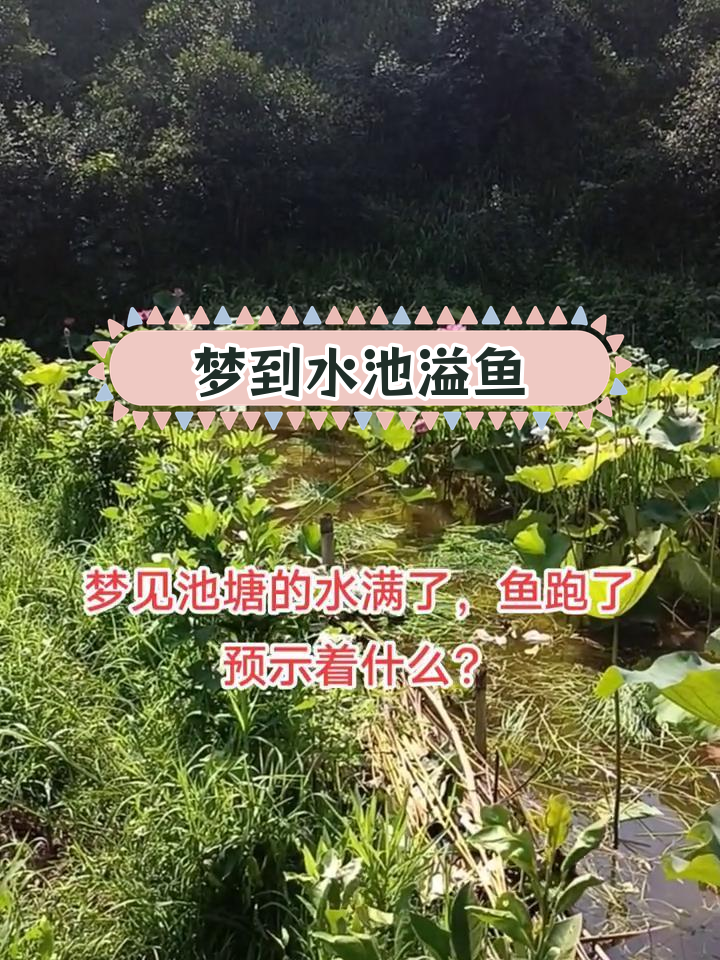 梦见池塘水满,鱼群涌出,预示着什么?