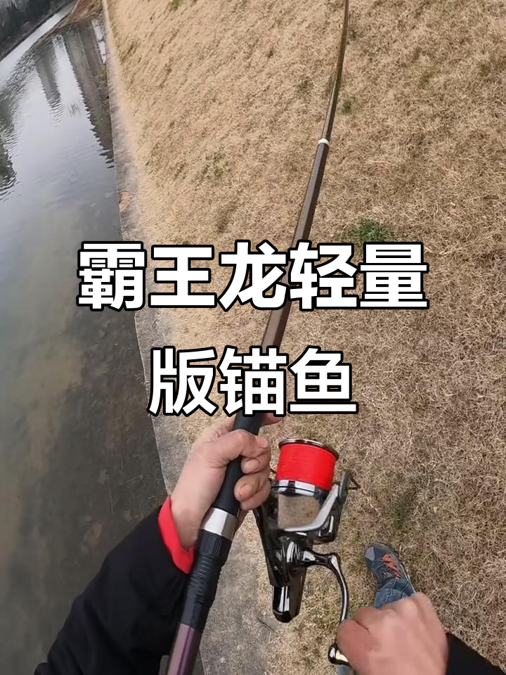 轻量版霸王龙锚鱼装备,六号钩搭配硬干轻松搞定