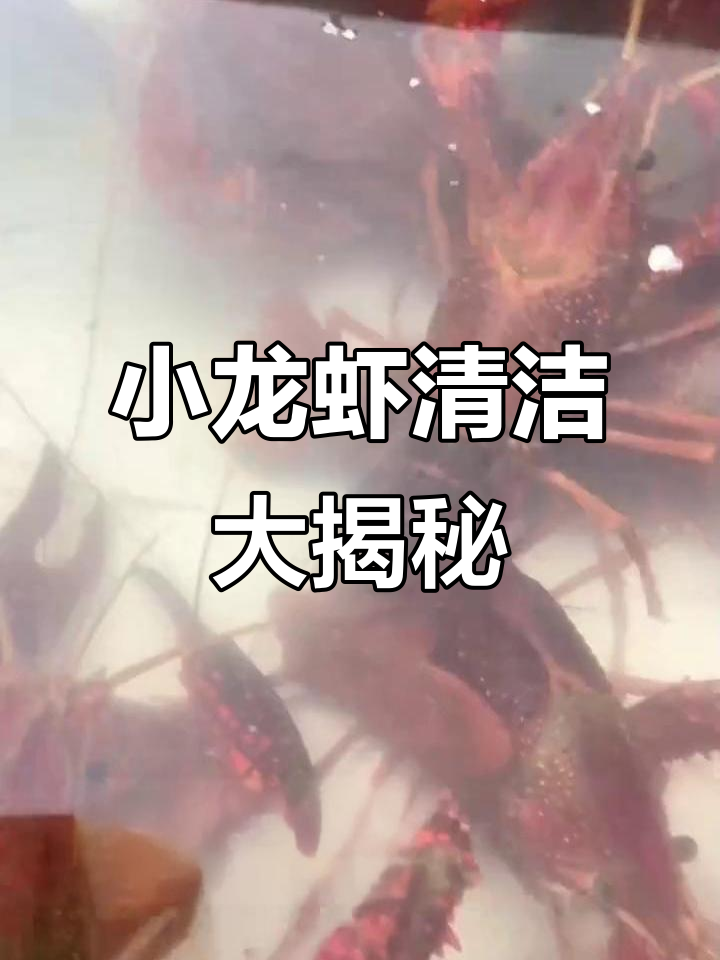 超声波清洗小龙虾,效果如何?真实测试揭秘!