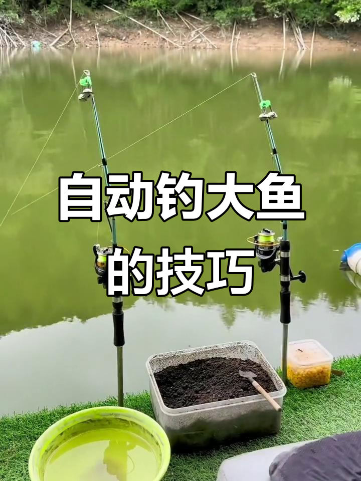 自动钓鱼神器,轻松捕捉大鱼!