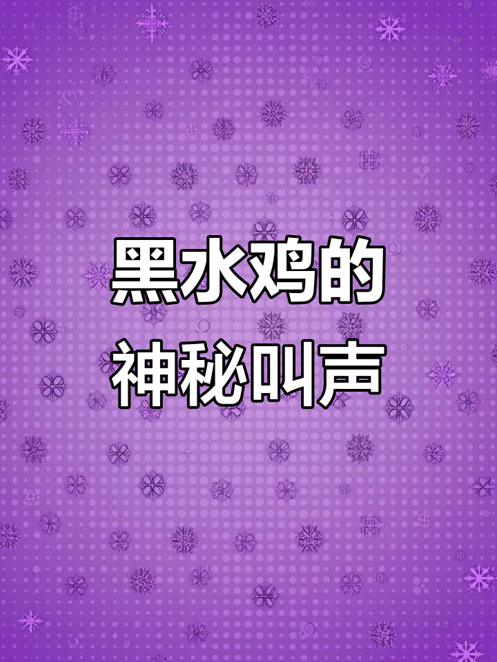 黑水鸡叫声像是在跟我说什么，太有趣了！