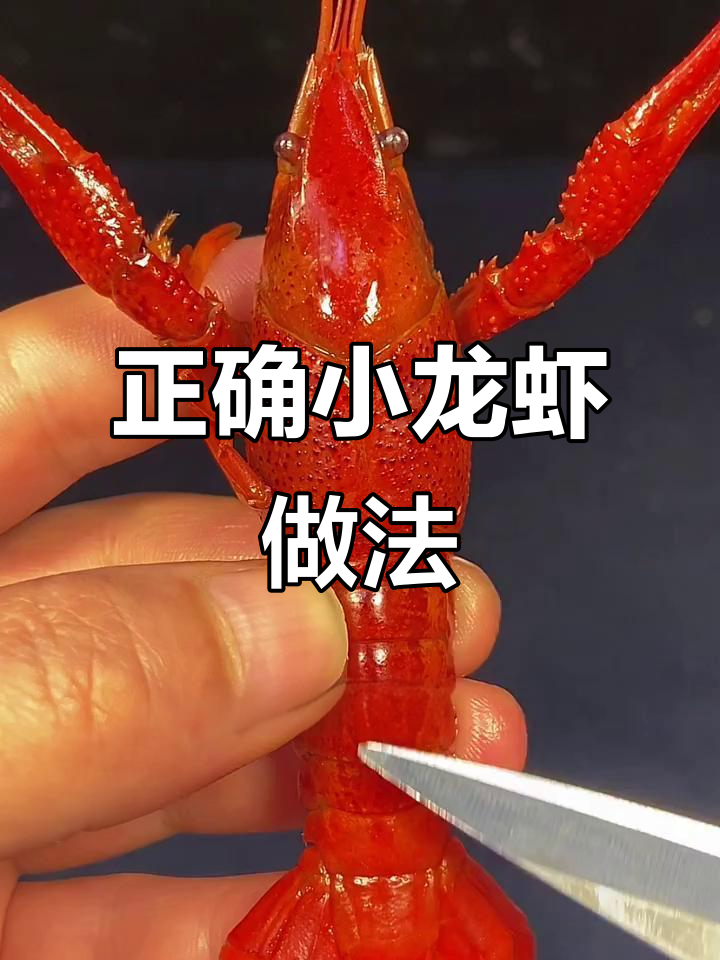 小龙虾吃法全攻略,轻松去壳取肉!