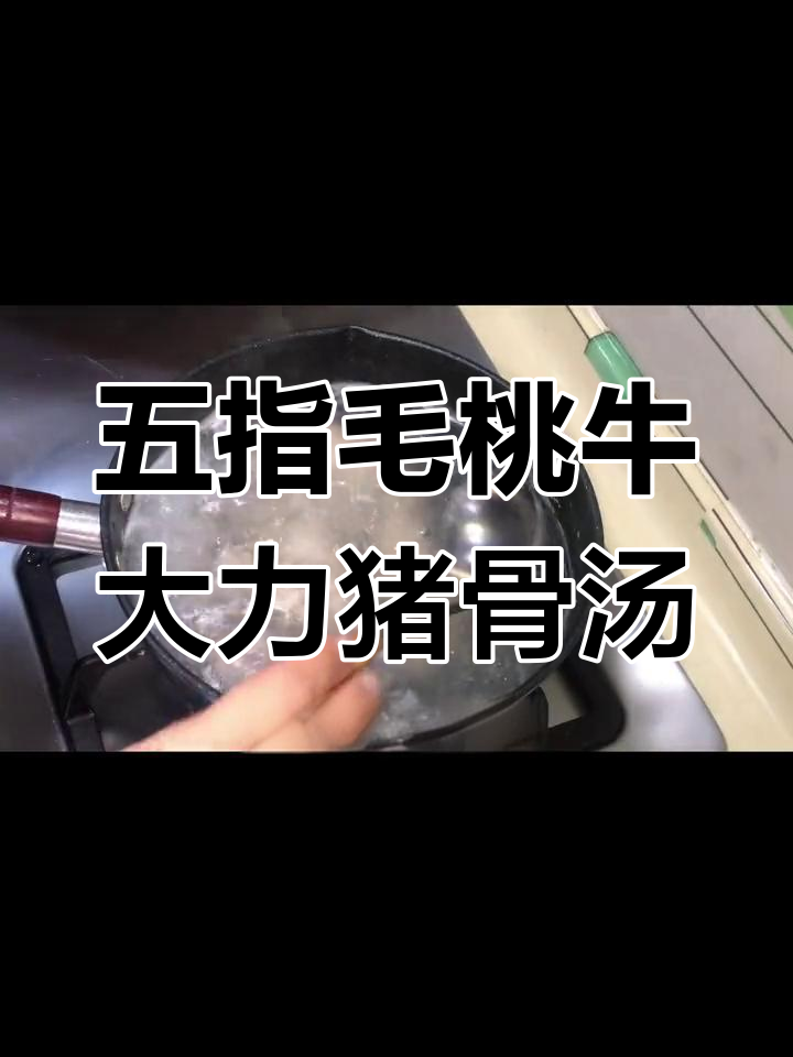 椰香五指毛桃猪骨汤,健脾祛湿、强筋活络