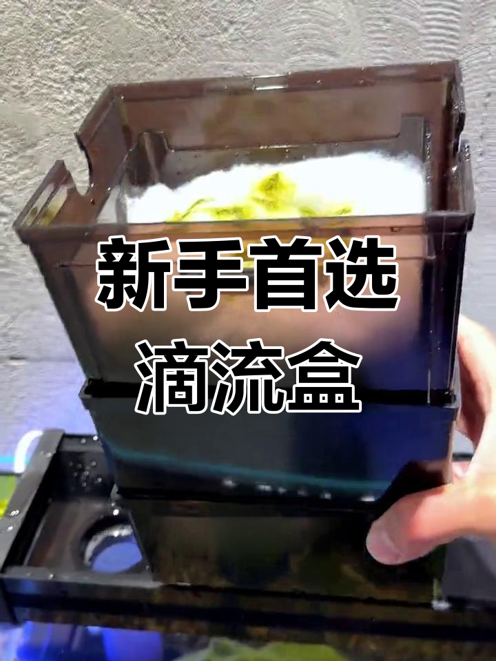 滴流盒适合新手,层层过滤,水流畅通无死角!