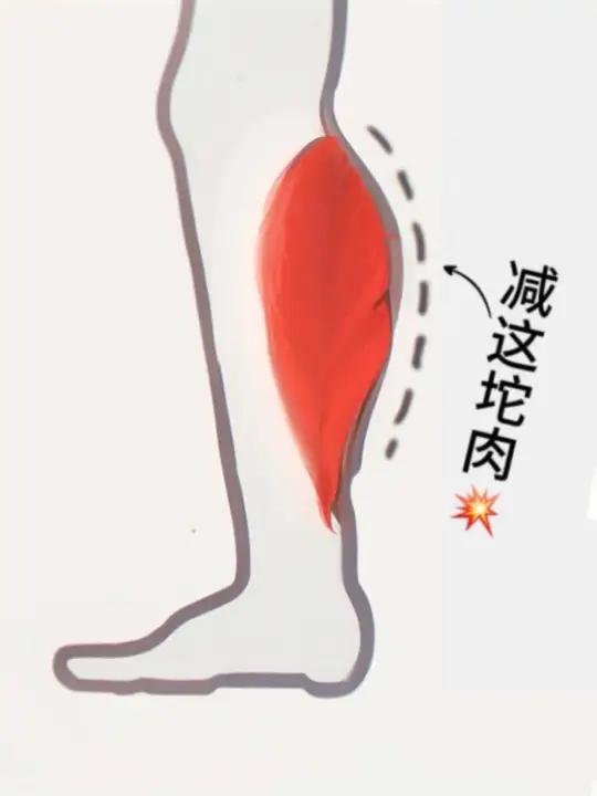 瘦小腿超有效搞定小腿粗壮肌肉腿脂包肌 拯救肌肉腿好评如潮!没有瘦不下来的小腿!小腿肌肉发达