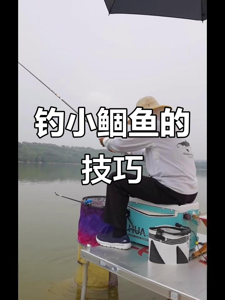 小鲴鱼钓法揭秘:顿口不抓,上顶下抓才是关键
