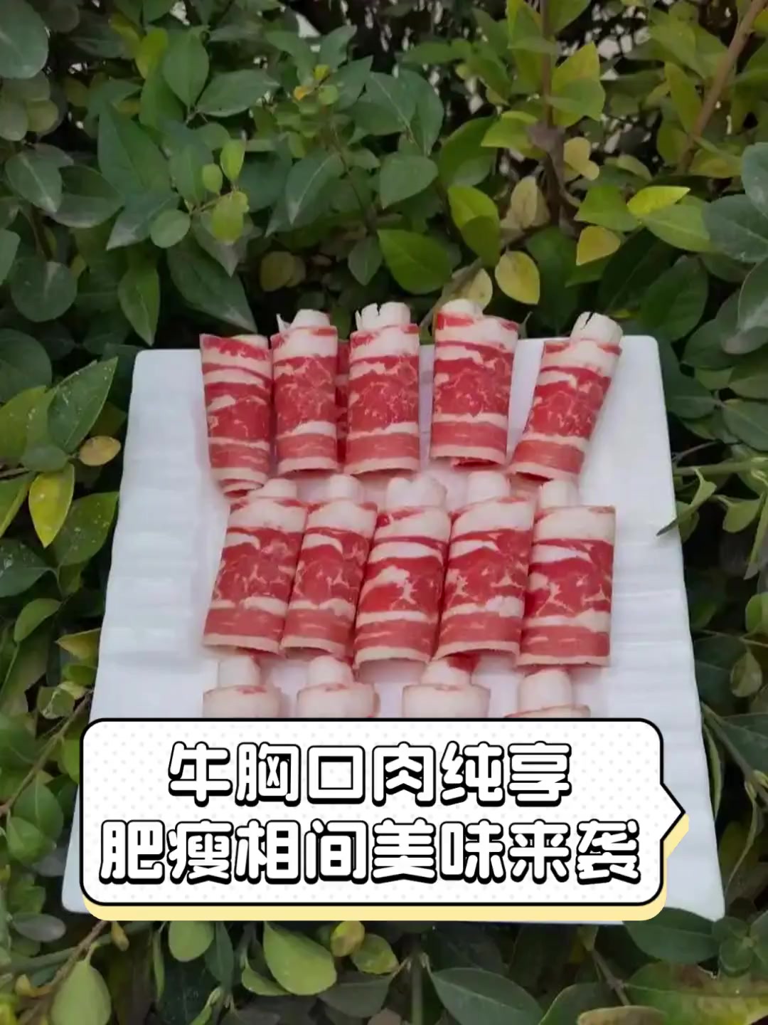 牛胸口肉纯享,肥瘦相间美味来袭