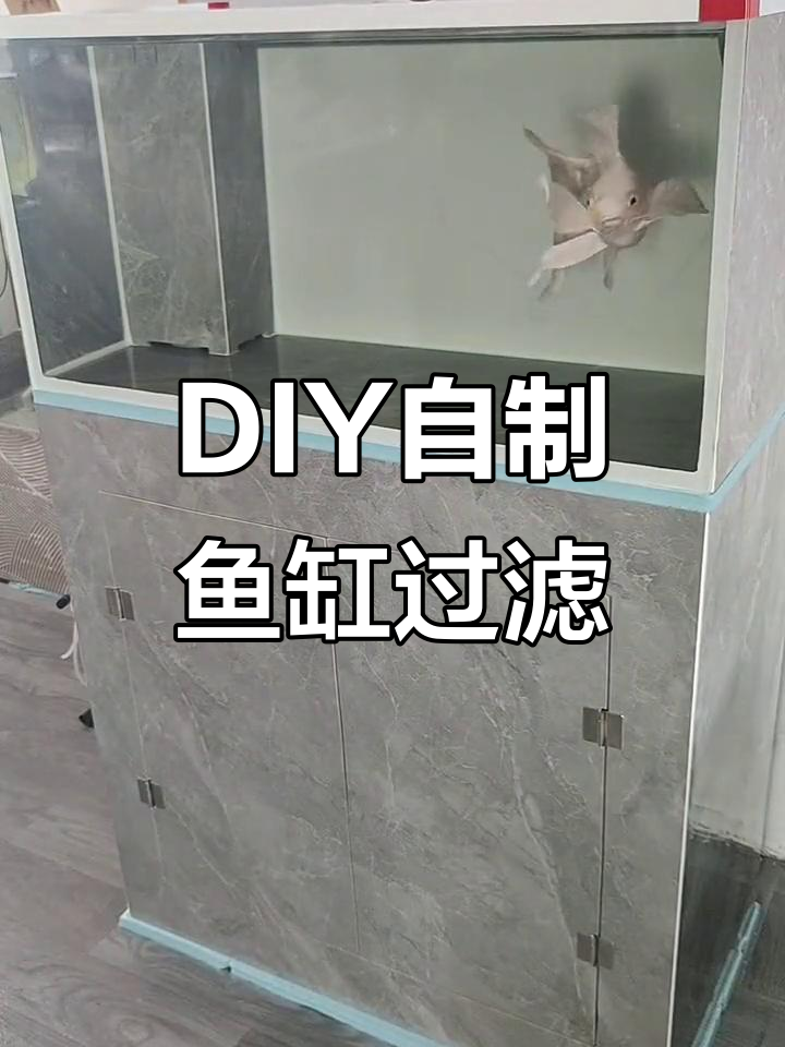 自制瓷砖底滤缸,灯光与氧气系统完美搭配