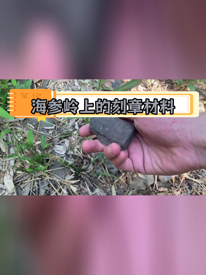 苏州海参岭的碎砖与春笋