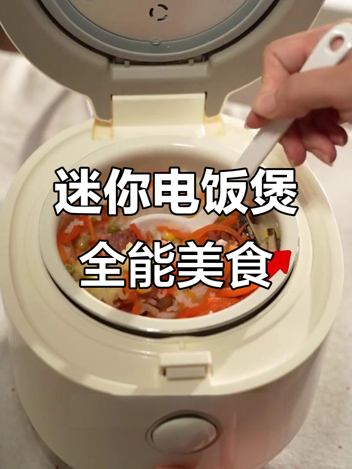 小家庭必备!迷你电饭煲轻松搞定煎、焖、炖、蒸,锅巴饭也能做
