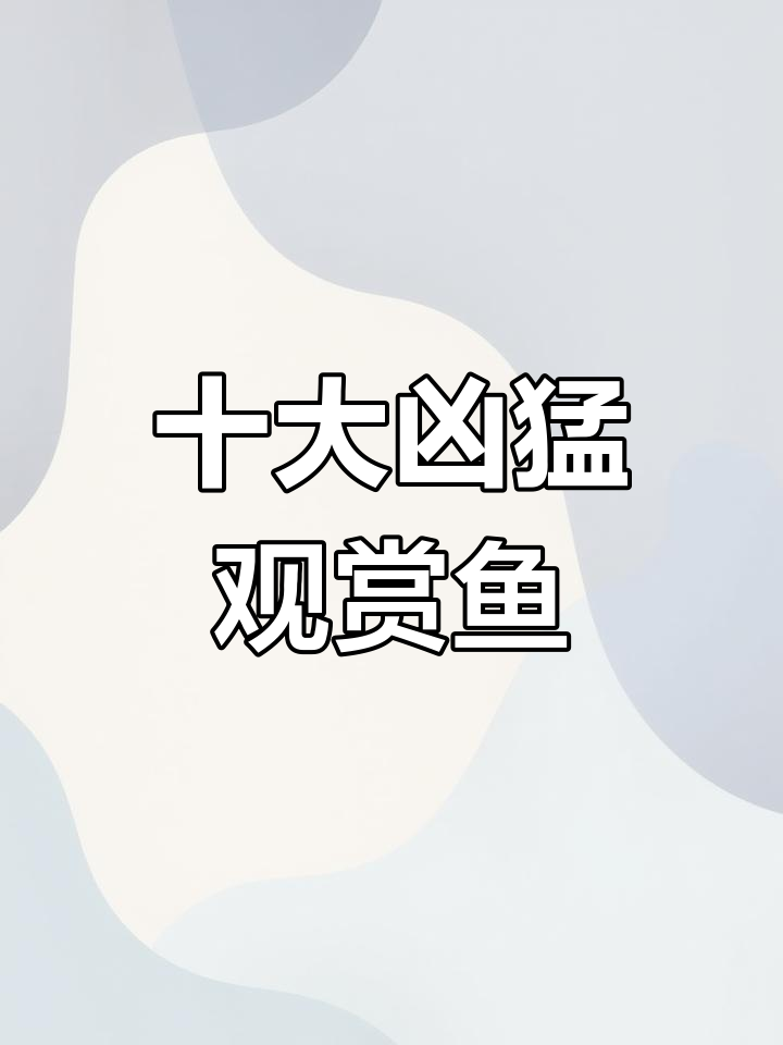 十大流氓观赏鱼大揭秘:魔鬼刀、虎皮鱼等,谁才是缸中霸主?
