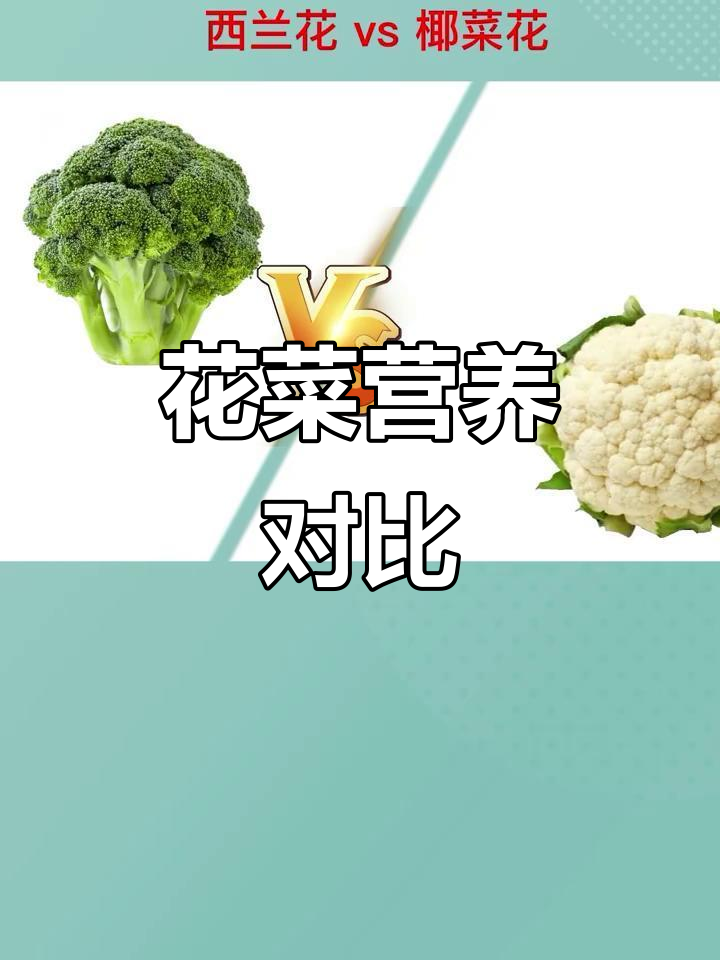 西兰花与椰菜花的营养差异,你更偏爱哪一种?