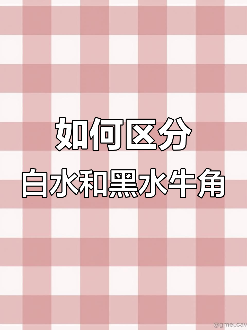 白水牛角与黑水牛角的辨别方法,你了解吗?