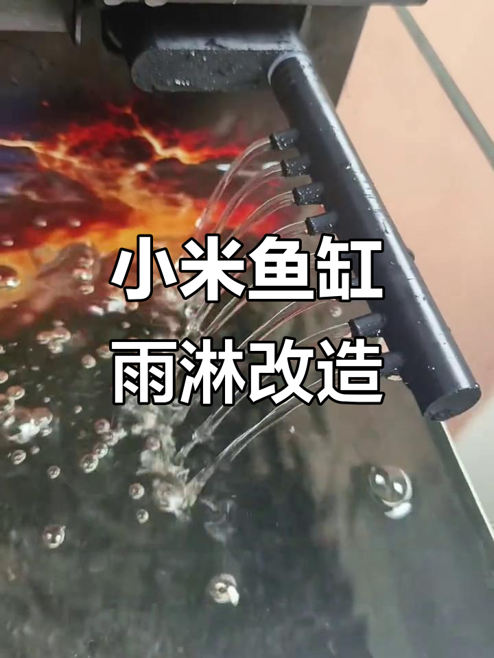 小米鱼缸出水口改装,雨淋管让增氧更美观
