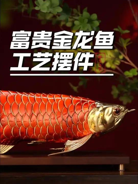 今年只买一件?就选富贵金龙鱼!红金贵气,摆赠皆宜 铜摆件富贵金龙鱼客厅玄关非遗技艺#软装搭