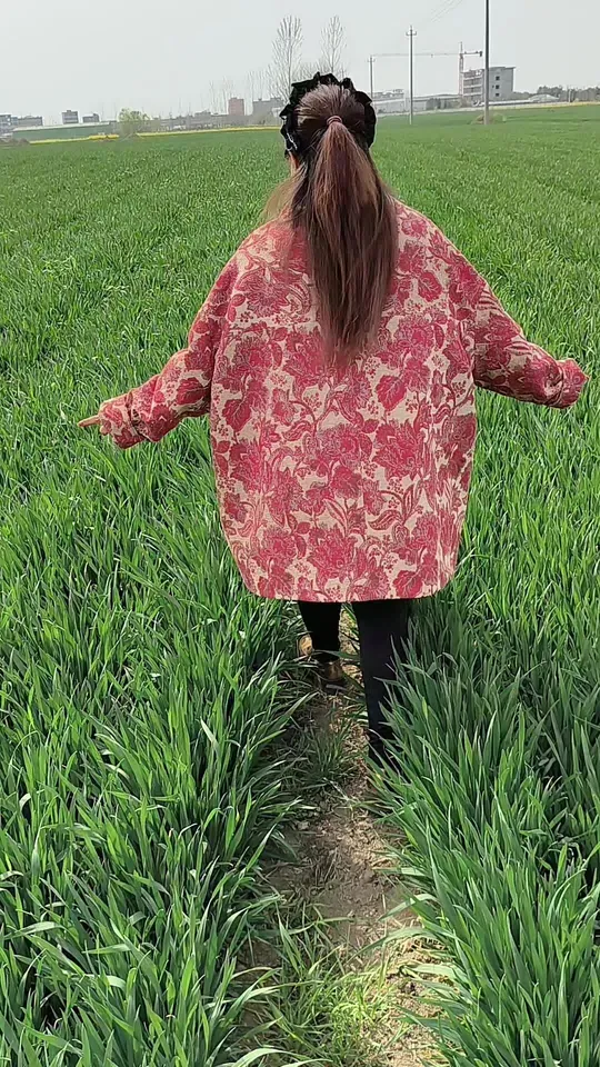 绿油油麦田邂逅金黄油菜花，不一样的景色来了！