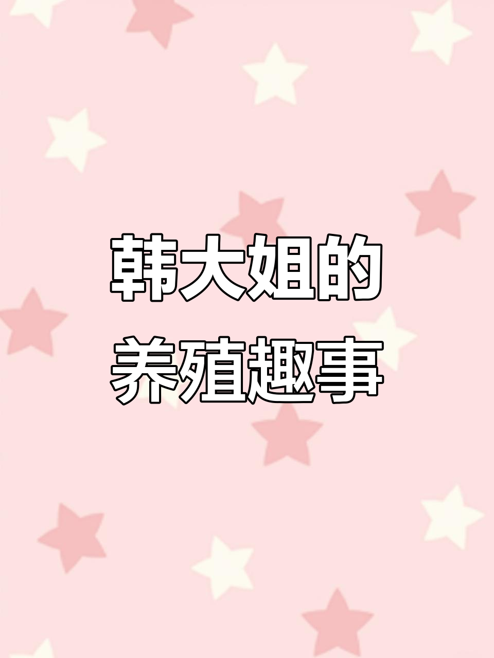 韩大姐的养鸡日常:从西鸭鹅笼到老公鸡,全都喂得肥肥胖胖