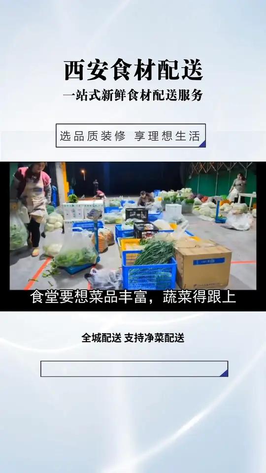 专业冷链运输,锁住蔬菜营养,送达时如同初摘。